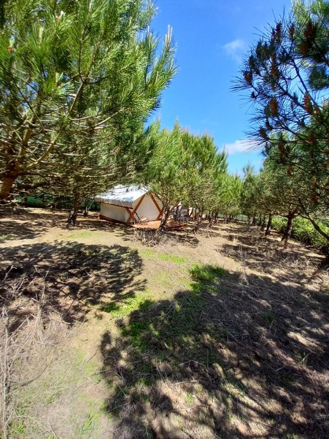 Kabaceira Glamping Hotel Atalaia  Exterior photo