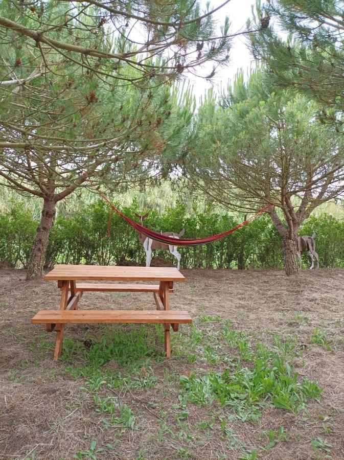 Kabaceira Glamping Hotel Atalaia  Room photo