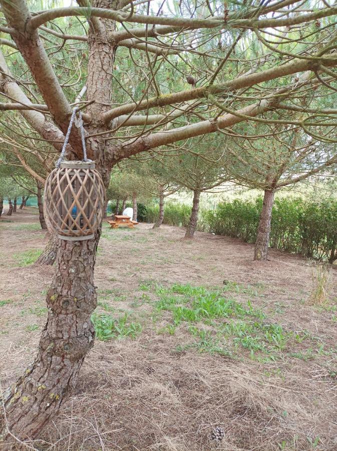 Kabaceira Glamping Hotel Atalaia  Room photo
